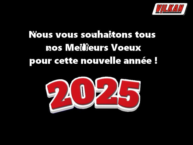 Meilleurs vœux 2025